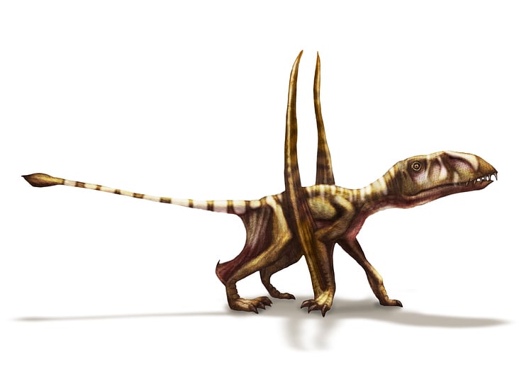 Dimorphodon II