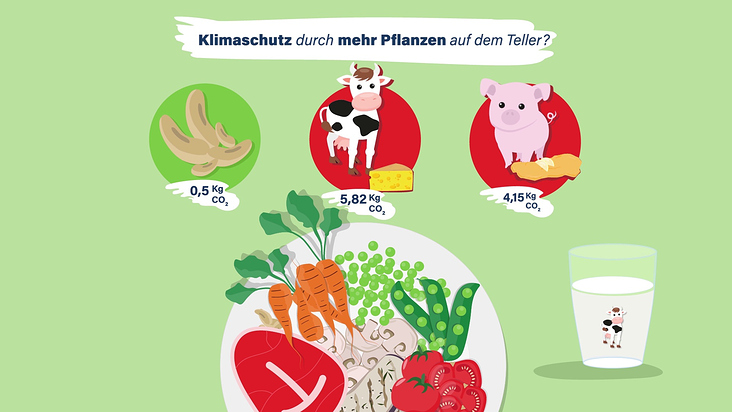 ProVeg: Klimafreundliche Ernährung in Schulen