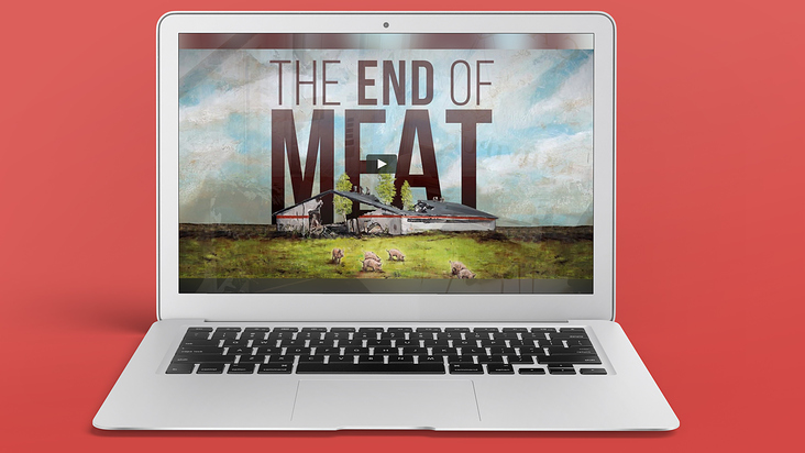 „The End Of Meat“