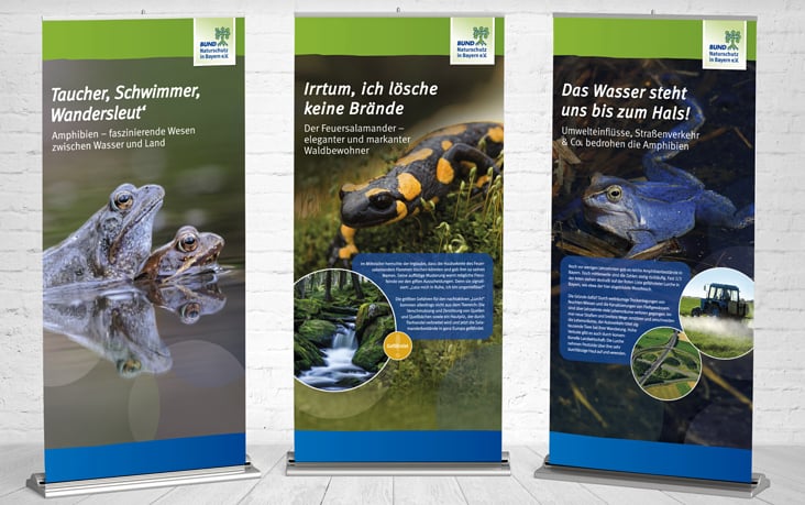 Bund Naturschutz Wanderausstellung Amphibien