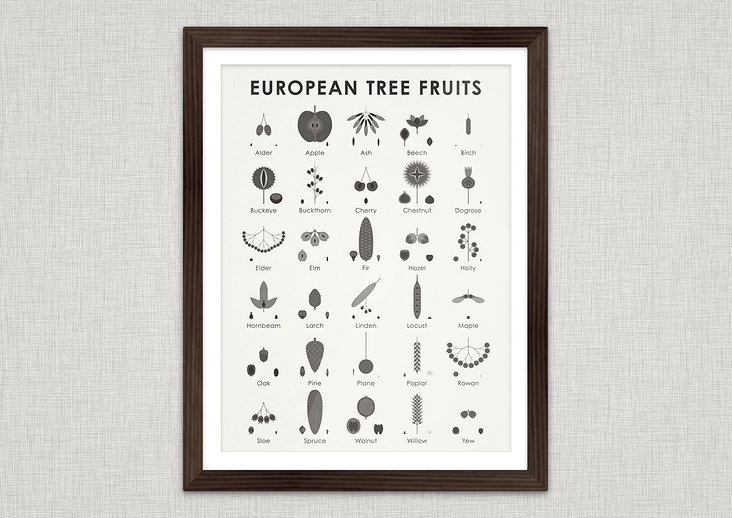 European Tree Fruits
