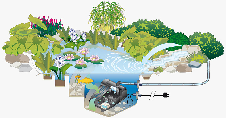 Funktionsweise von Pumpen, Filter und Zubehör für Gartenteiche