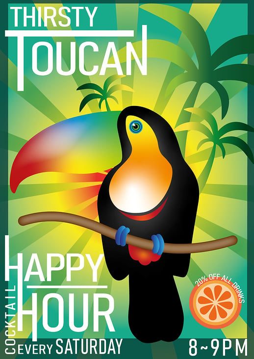 Toucan