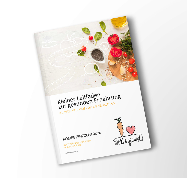 wohl & gesund, Layout und Illustration Digitales PDF