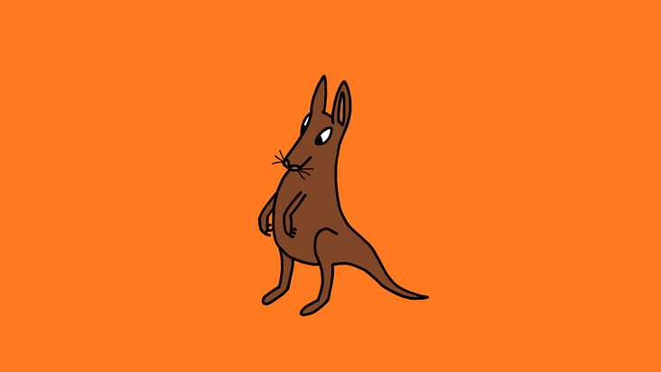 It’s a Kangaroo