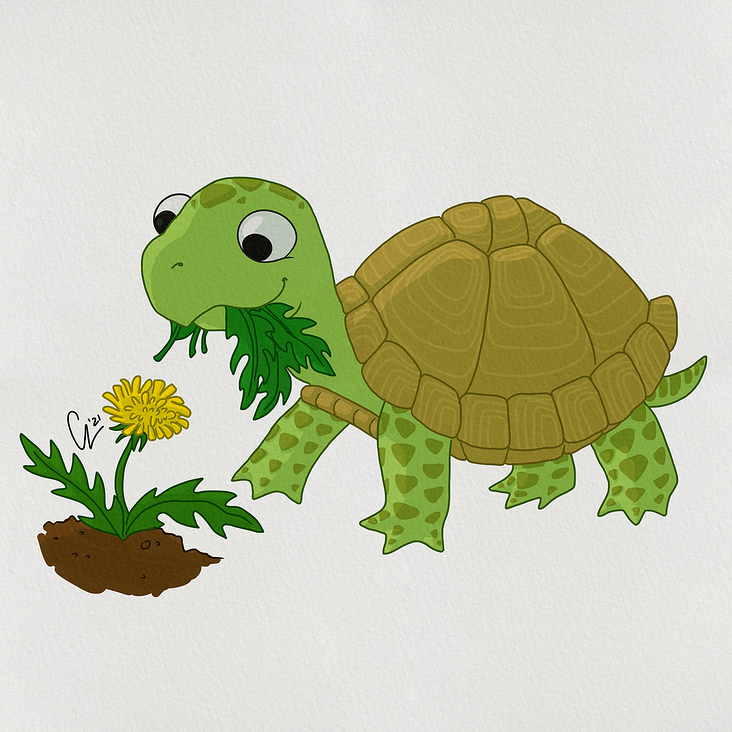 Charakterdesign: Schildkröte