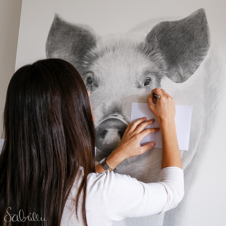 Prozess Schwein Zeichnung
