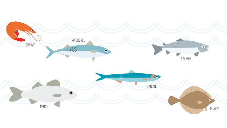 Illustrationen