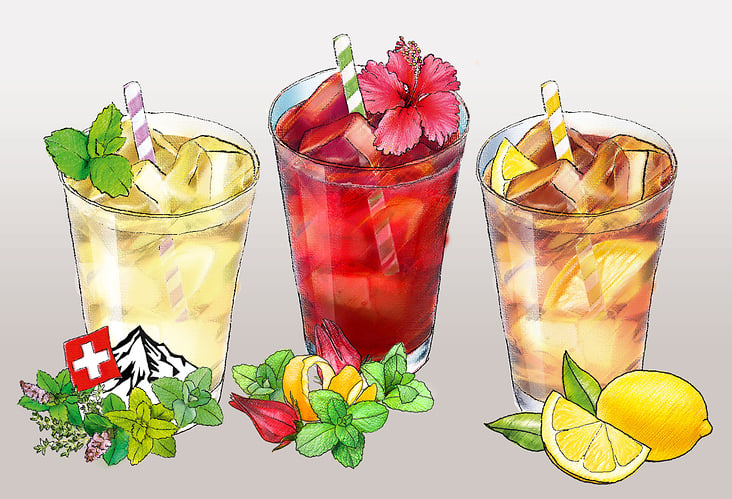 Illustrationen für Icetea-Sirupe HERO