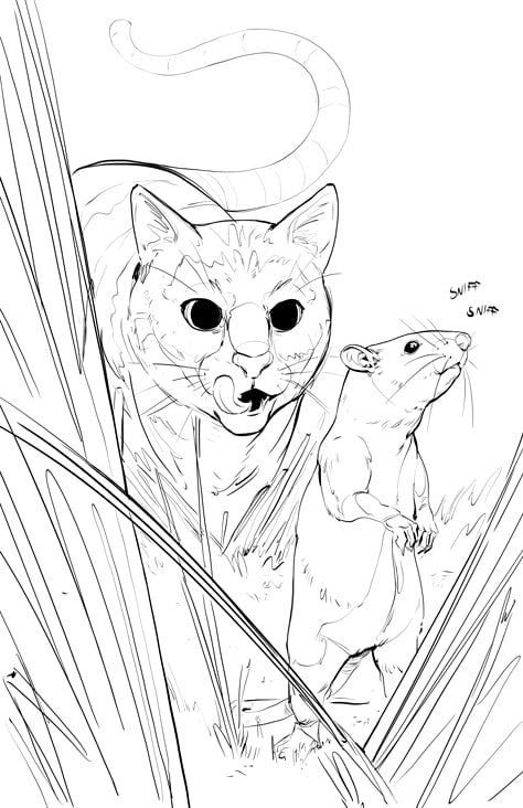 Sketch – Rodent