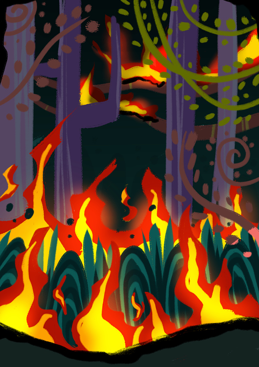 Amazonas Projekt – Waldbrand
