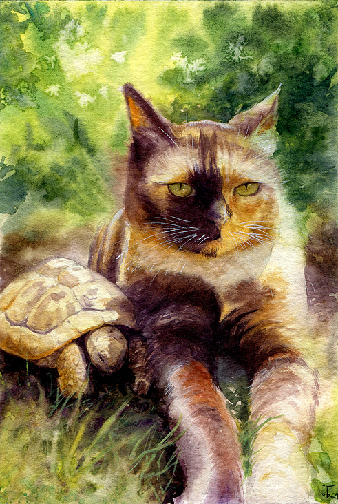 Katze und Schildkröte – Aquarell