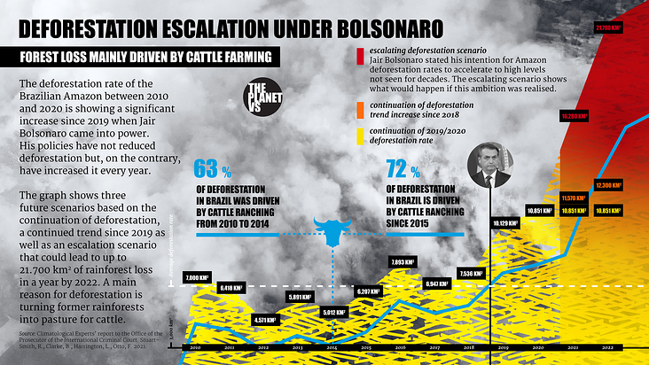 Infografik für ThePlanetVs / COP26