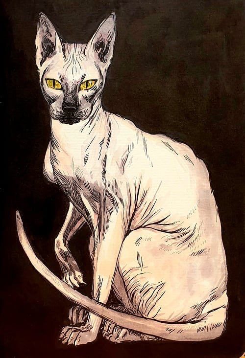 Spynx, A5, Layout Marker