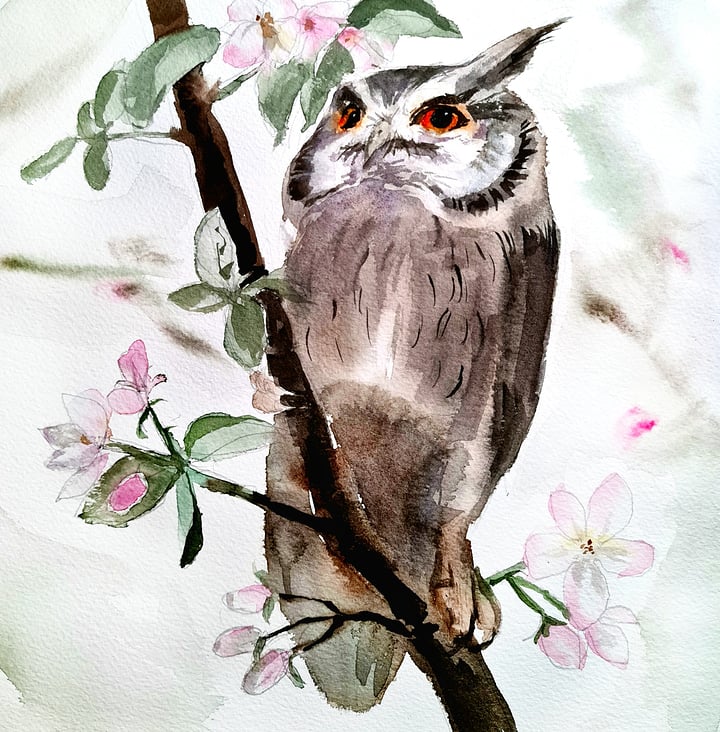 Ambitious Owl. 40×30cm Aquarelle/Papier