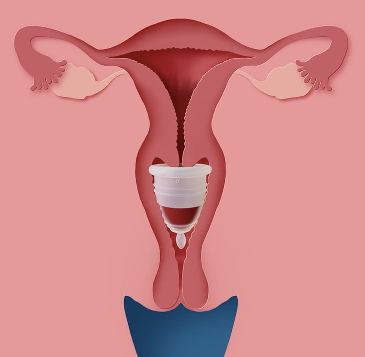 Illustration Menstruationstasse: Illustrationen funktionieren auch noch super, wo man keine Fotos einsetzen kann oder will;)