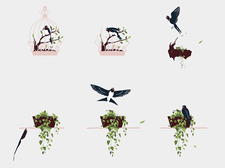 birdies cage – animation