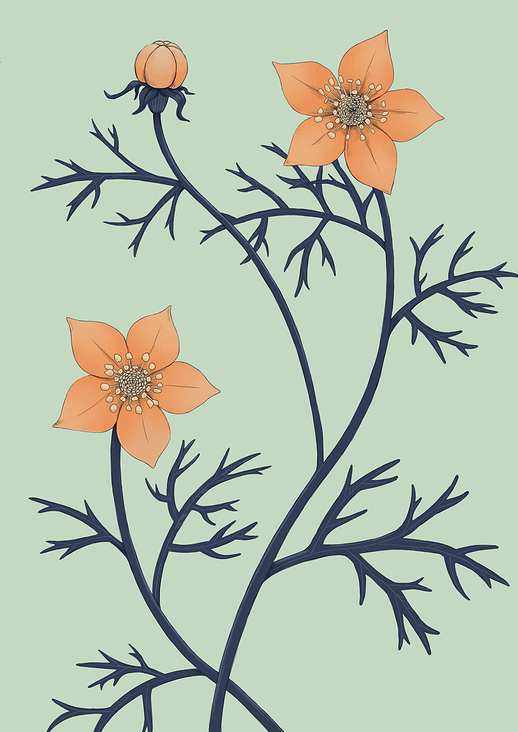 Florale Illustration