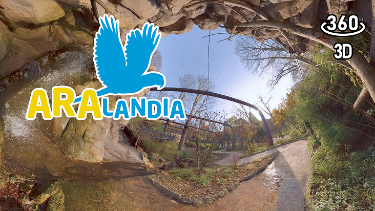 Aralandia – Eine Hochzeitsvoliere für Aras (VR-Film)