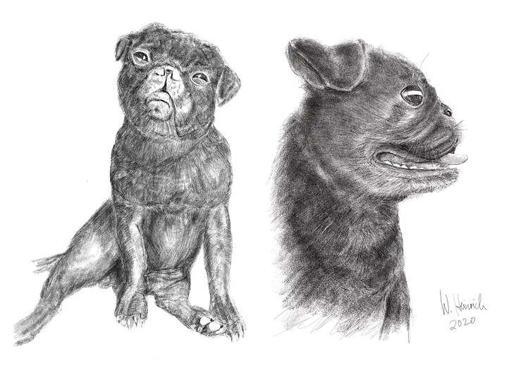 Zeichnung Tiere Hund