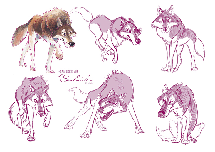 Characterdesign Wolf