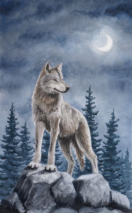 Der Wolf