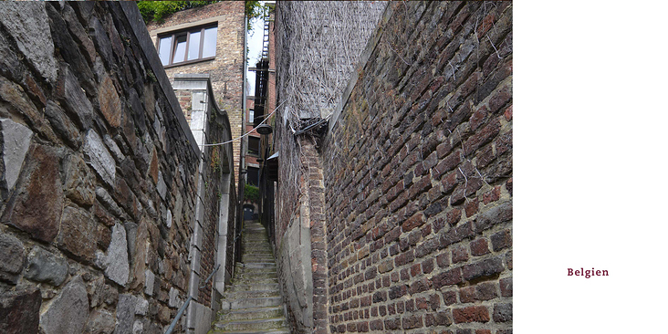 Liège Alley