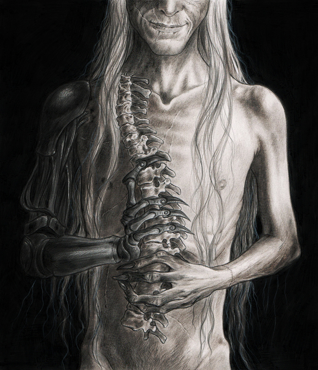 Portrait with Columna vertebralis