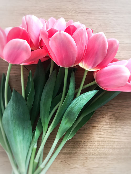 Styling und Fotografie: Tulpen