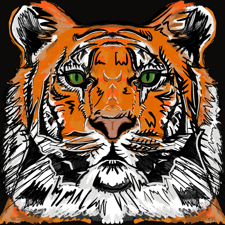 TIGER – Sketch