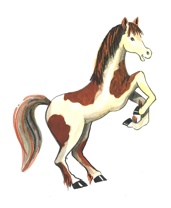 Kanufahrer_Pony