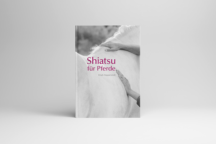 Shiatsu für Pferde