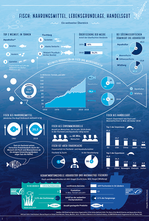 Infografik für den Marine Stewardship Council