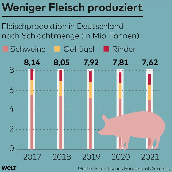 Fleischproduktion in Deutschland, WELT