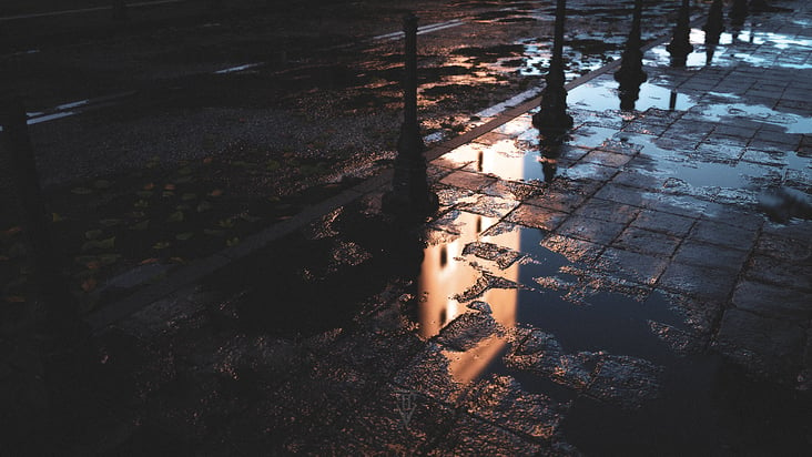 Puddle Reflections