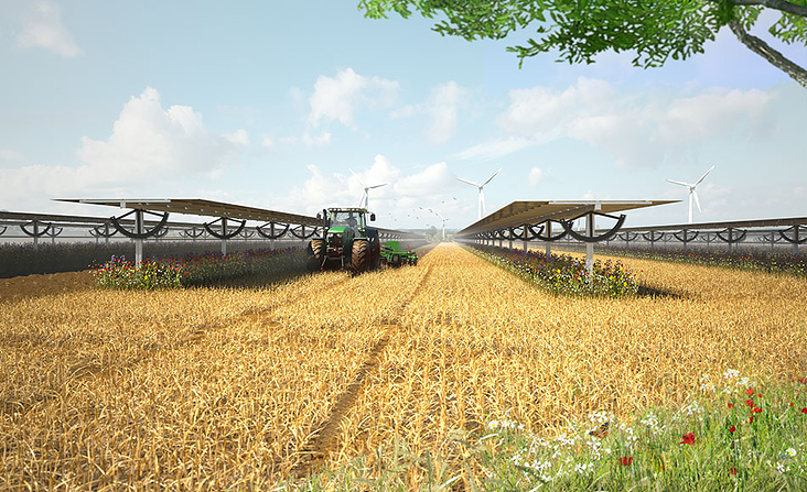 3D-Visualisierungen AGRI-Photovoltaik/ Weizenfeld pflügen