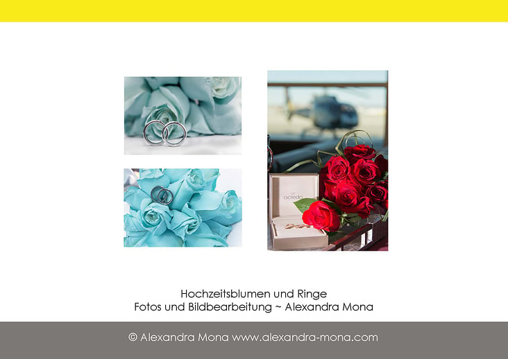 Portfolio Hochzeit Blumen und Ringe