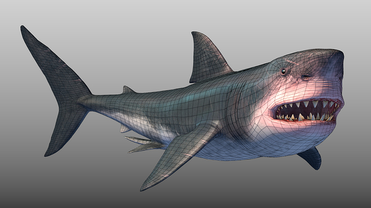 Megalodon wire