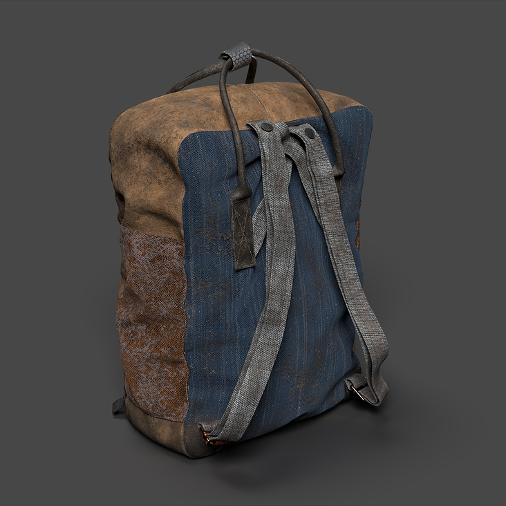 backpack back view