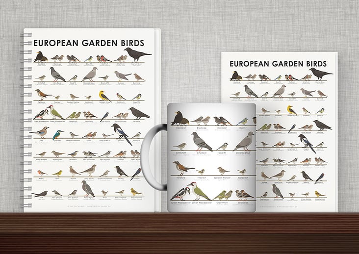 Identification Chart European Garden Birds