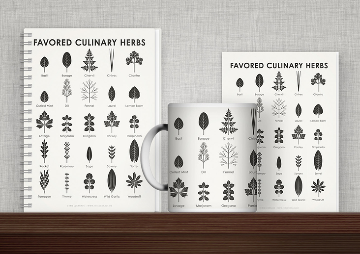 Identification Chart Favored Culinary Herbs