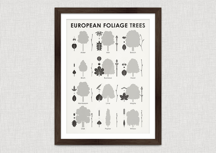 Identification Chart European Foliage Trees