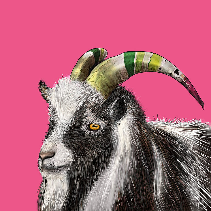 Zombie Goat – Digitale Zeichnung