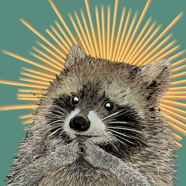 Holy Raccoon – Digitale Zeichnung