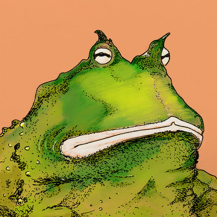 Toad – Digitale Zeichnung