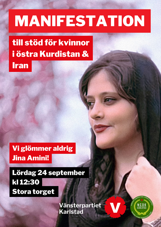 Manifestation för Jina
