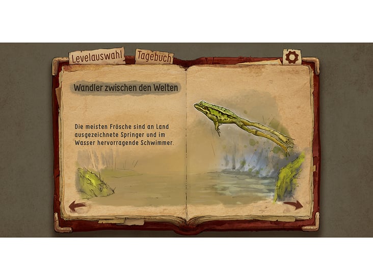 Infoseite Teichfrosch