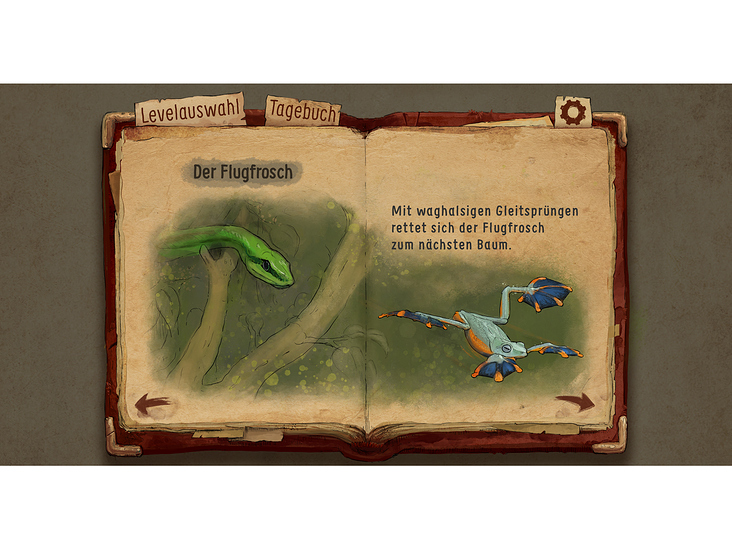 Infoseite Flugfrosch