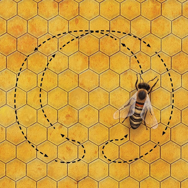 Biene – Museumsschautafel