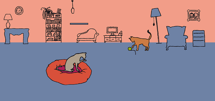 Illustration für Schnurrinchen, Katzen-Blog & Shop – zweiter Bereich Website